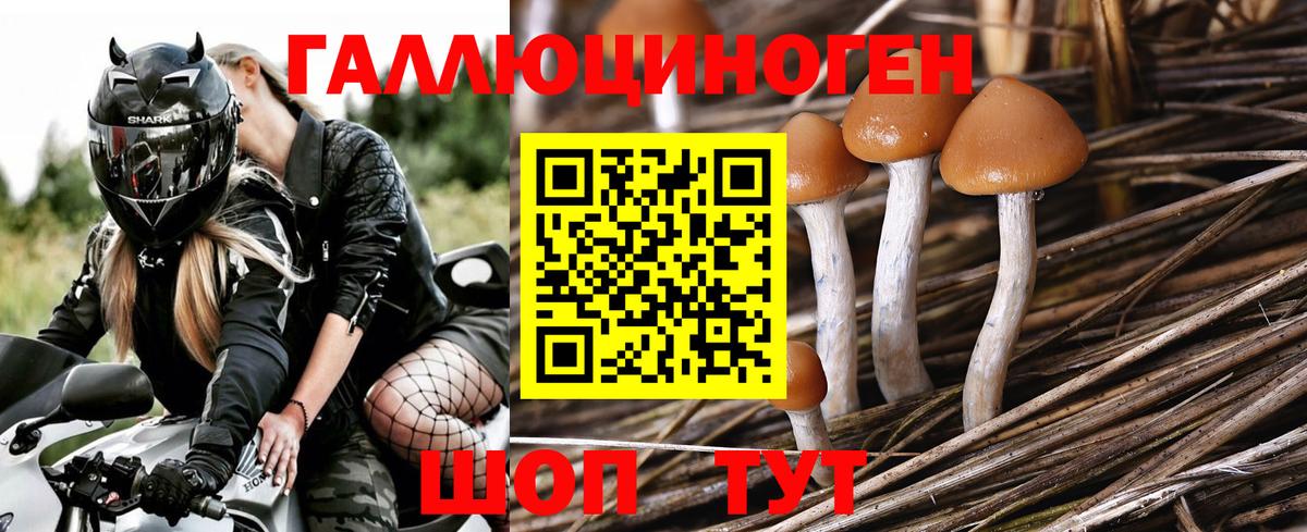 Галлюциногенные грибы MAGIC MUSHROOMS Ступино