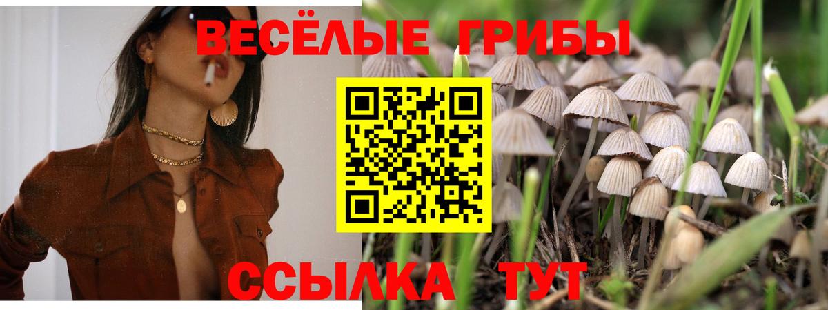 Псилоцибиновые грибы Psilocybine cubensis  Вход с VPN  Ступино 
